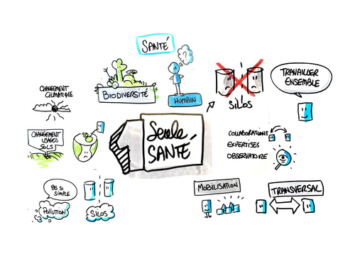 Expérimentation "Une Seule Santé" sur un territoire