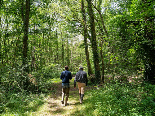 Climat et biodiversité : enjeux et solutions pour les territoires franciliens