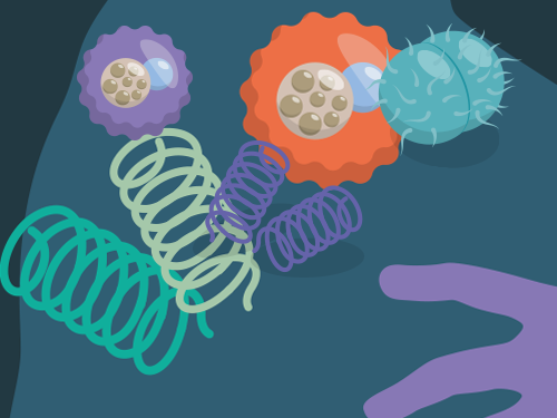 Infections sexuellement transmissibles